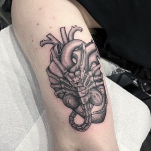 Facehugger on anatomical heart