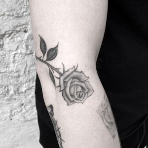 Fineline Rose (Healed)