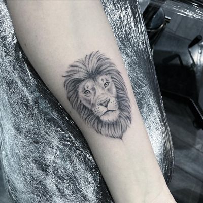 Mini lion portrait