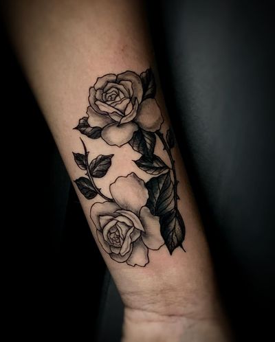 Cover up roses. 