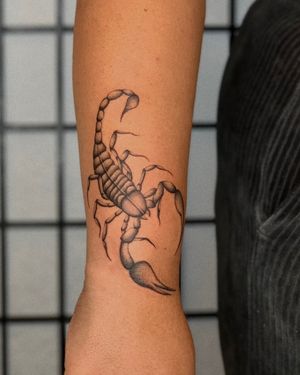 Experience the allure of a black and gray illustrative scorpion tattoo, expertly crafted by Ophelya Jeandat.