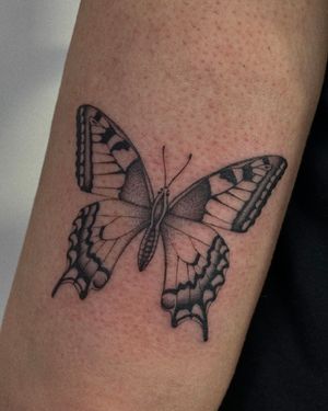 Experience the delicate beauty of dotwork and fine line in this stunning butterfly tattoo by the talented artist Ophelya Jeandat.