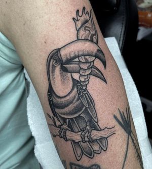 Unique black and gray tattoo by Barney Coles. Features a beautiful toucan and shell design with dotwork details on the arm.