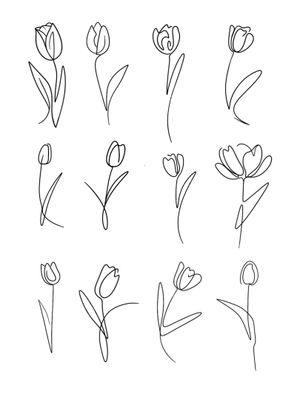 Fine Line Tulips