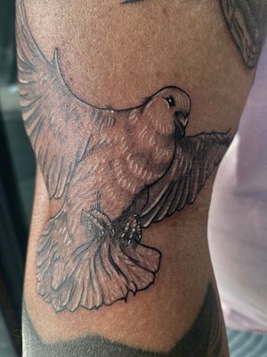 Elegant and intricate fine line dove tattoo design by talented artist Claudia Whiteheart.