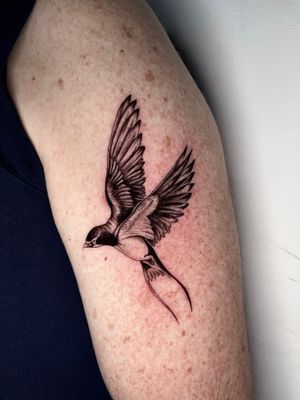 Get a beautifully detailed bird tattoo by Claudia Whiteheart. This swallow design symbolizes freedom and loyalty.