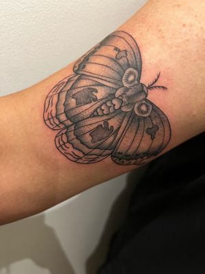 Experience the beauty of a delicate moth in dotwork and fine line style by the talented artist Claudia Whiteheart. A stunning and elegant piece for tattoo enthusiasts.