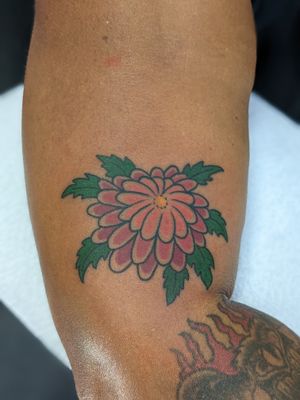 Beautifully crafted traditional tattoo of a chrysanthemum flower by Luca Salzano, showcasing elegance and intricate detailing.
