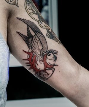 Unique design by Luca Salzano featuring a graceful swallow surrounded by thorns in dotwork style.