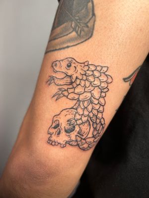 Unique and detailed tattoo design featuring a skull and pangolin, created by artist Jonathan Glick.