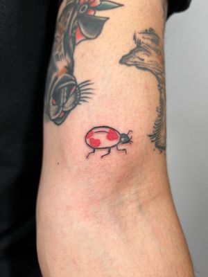 Get an eye-catching tattoo of a ladybug on a heart, beautifully illustrated by Jonathan Glick. Perfect for nature lovers.