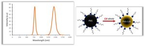 PbS/CdS QDs are widely used in highly sensitive cellular imaging, photovoltaic devices, solar cells, light emitting devices, etc. https://www.cd-bioparticles.com/product/pbs-cds-quantum-dots-list-208.html