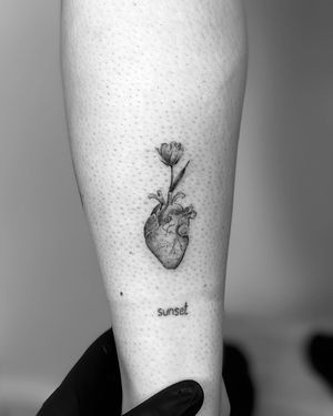 Experience the delicate beauty of Vera's fine line micro realism style with this illustrative anatomical heart tattoo design.
