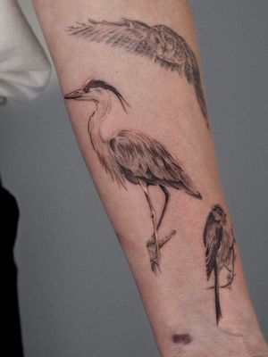 Experience the exquisite beauty of micro realism with this stunning black and gray crane tattoo by the talented artist Oscar Jesus.