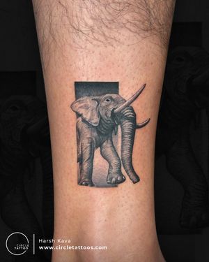 Elephant Tattoo made by Harsh Kava at Circle Tattoo India 