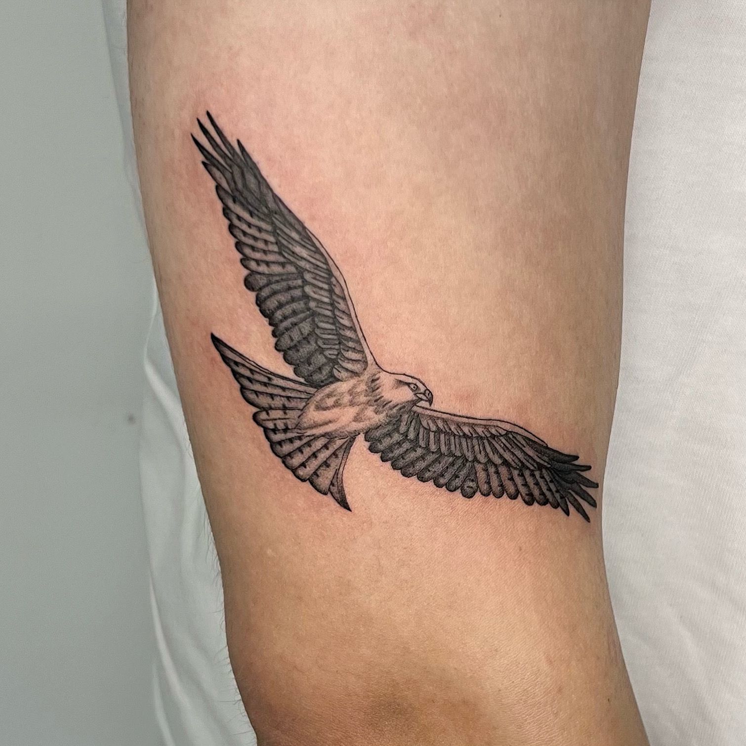 Hawk Temporary Tattoo – Drift & Amble