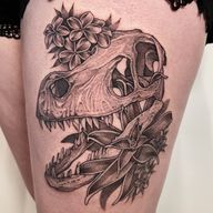 Dinosaur skull