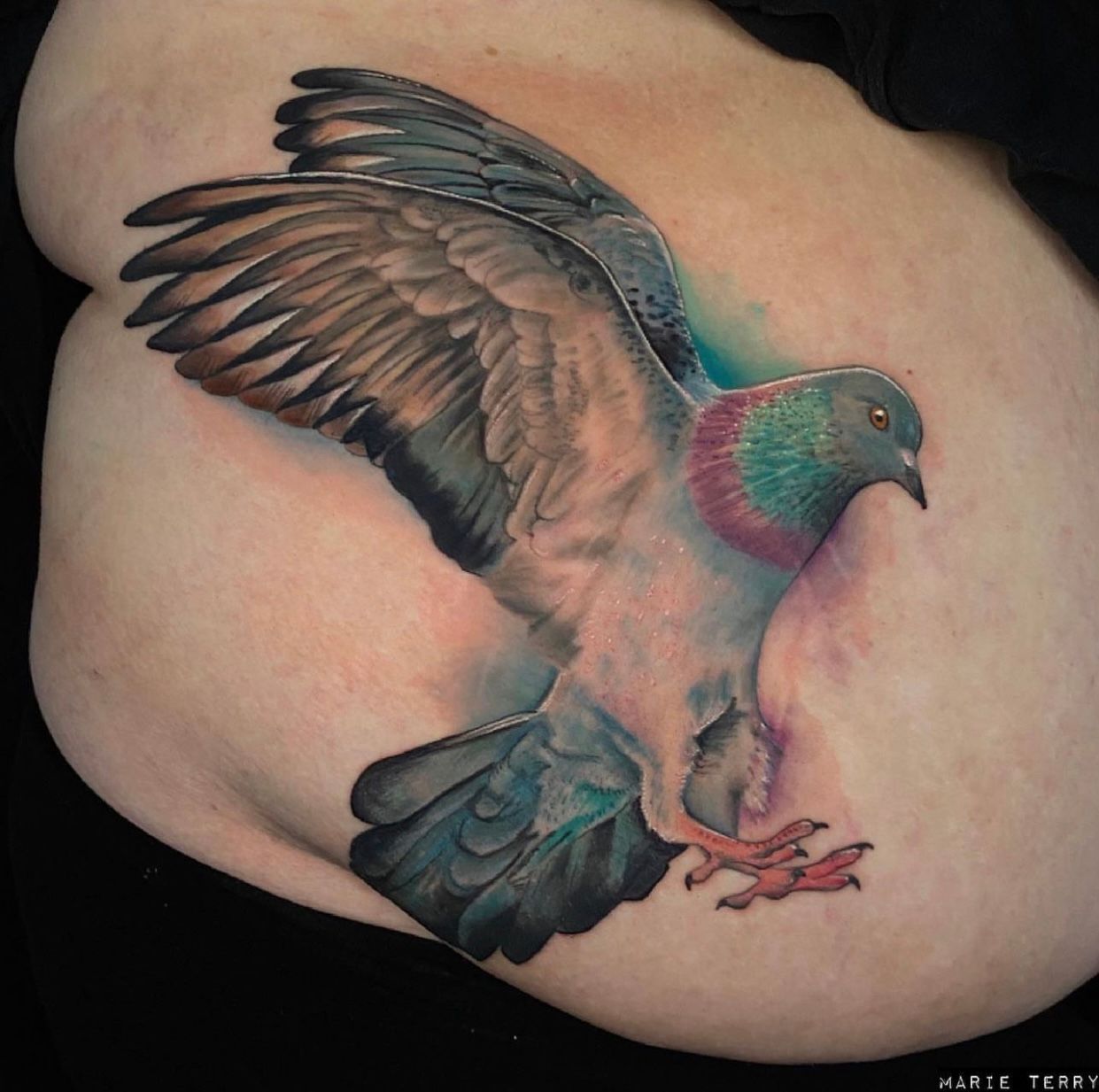 prompthunt: a perfect photograph of a graffiti tattoo of a pigeon on a mans  back. he is structurally deficient and his bones are bursting through his  skin. n.