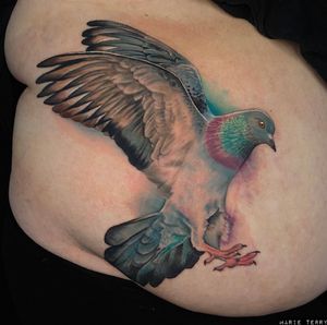 Pigeon realism