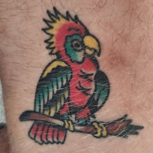 Parrot head tattoo for a 2023 Jimmy Buffett concert #parrothead #jimmybuffett #margaritaville #parrot 