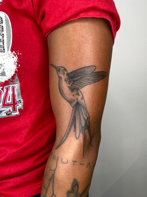 Experience intricate dotwork technique with this illustrative hummingbird design by the talented artist Liam Collins.