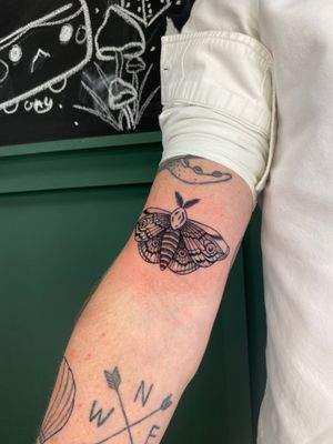 Get mesmerized by Liam Collins' intricate dotwork moth design, a striking addition to your tattoo collection.