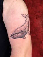Whale