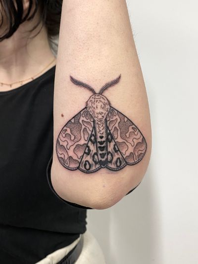 Get a unique dotwork illustrative moth tattoo done by the talented artist Liam Collins.