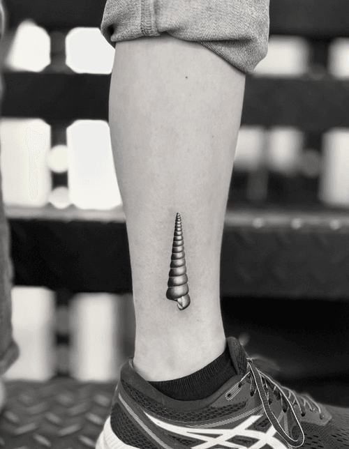 Intricate Shell Micro Realism