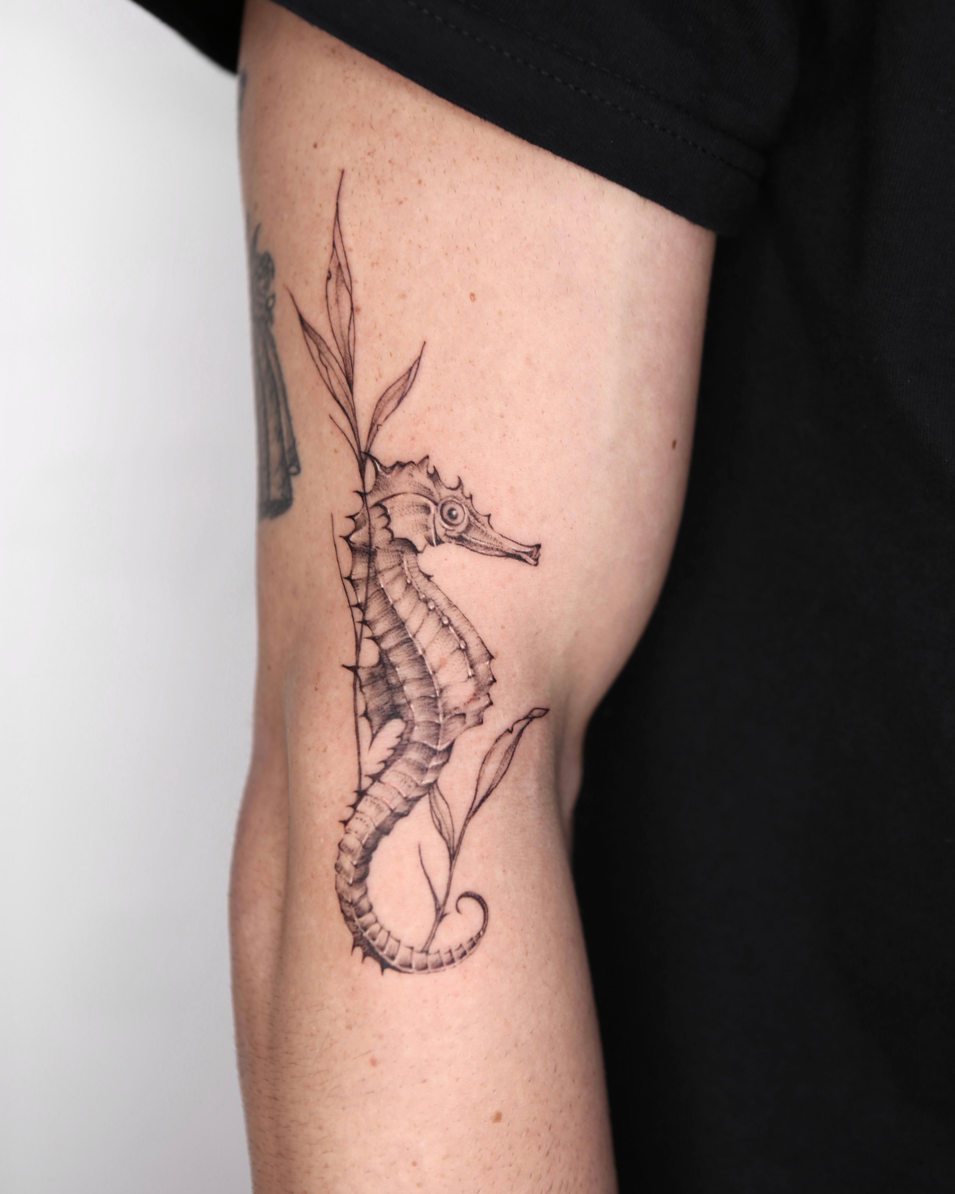 Seahorse Temporary Tattoo - Set of 3 – Tatteco