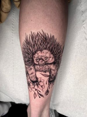 Experience the beauty of fine line and illustrative style with this intricate echidna tattoo by the talented artist Claudia Whiteheart.