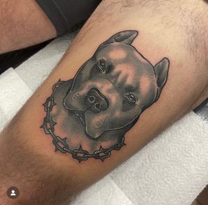 Get a unique and colorful tattoo of your beloved pitbull as a neo traditional illustration by the talented artist Katy Sarsfield.