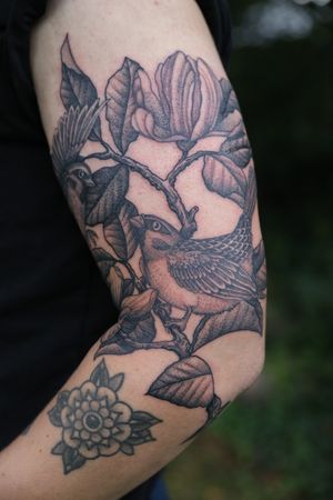 Unique dotwork style with intricate details, showcasing beautifully illustrated birds by renowned artist Jeppe Dahl Rørdam.