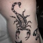 Scorpion Tattoo