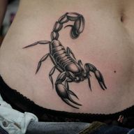 #blackandgreytattoo #finelinetattoo #traditionaltattoo #blackandgrey #fineline #traditional #colourtraditional #blackandgreytraditional #london #londontattoo #londontattooshop #tattoo #walkin #walkintattoo #scorpiontattoo