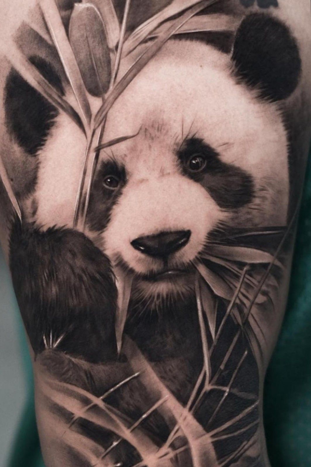 Panda tattoo by Vika Kiwi | Post 30516