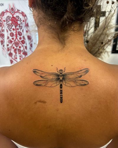 Experience mesmerizing dotwork style with this illustrative dragonfly tattoo, expertly crafted by Jack Howard.