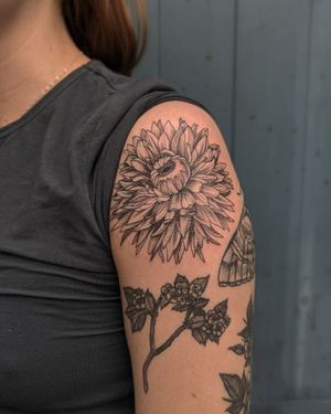 Elegant blackwork design featuring a detailed chrysanthemum flower by the talented artists at Alien Ink. Perfect for those seeking a bold and striking tattoo.