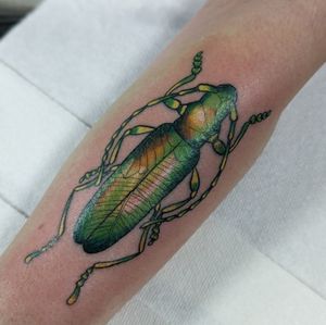 Beetle from my flash, done to match clients colour request