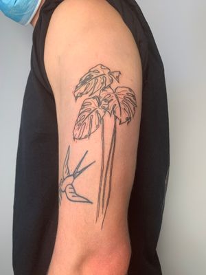 Elegant hand-poked tattoo by Dan Bramfitt featuring a detailed monstera plant motif for a minimalist and natural look.