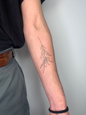 Beautifully hand-poked olive branch tattoo by Dan Bramfitt, featuring delicate fine line work.