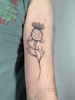 Beautiful botanical design by Dan Bramfitt, featuring delicate fine line illustration of a Scottish thistle flower.