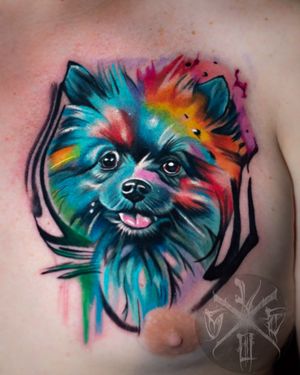  Pomeranian doggo ❌#tattoo #tatuaż #tatuaze #kolor #colortattoo #warszawa #polska #polandtattoos #watercolor #pattern #chesttattoo #klatka #akwarele #kolorowy #piesek #pies #pomeranian