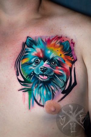  Pomeranian doggo ❌ #tattoo #tatuaż #tatuaze #kolor #colortattoo #warszawa #polska #polandtattoos #watercolor #pattern #chesttattoo #klatka #akwarele #kolorowy #piesek #pies #pomeranian