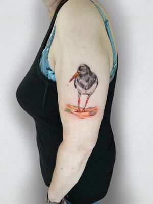 Back with the birds and loving this Oyster Catcher I did for Shirley
.
#seabird #oystercatcher #seabirdtattoo #oystercatchertattoo #colourbirdtattoo #birdtattoo 