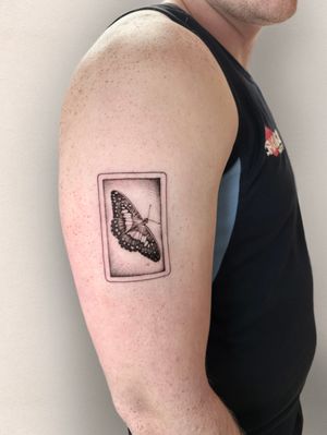 A wee butterfly for George. .#butterflytattoo #wingtattoo #insecttattoo #mothtattoo 
