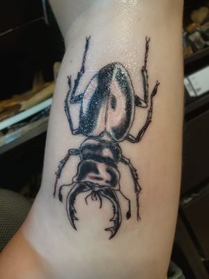 Beetle done by Jordy B. (Jurassic Ink Tattoo @ instagram)