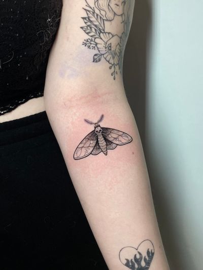 Illustrative tattoo by Liam Collins depicting a haunting moth symbolizing death in stunning dotwork style.
