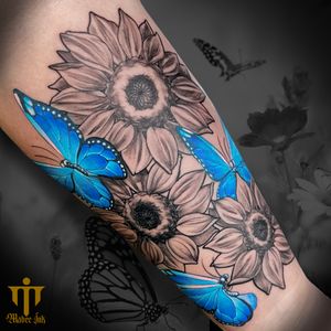 Butterflies and sunflowers