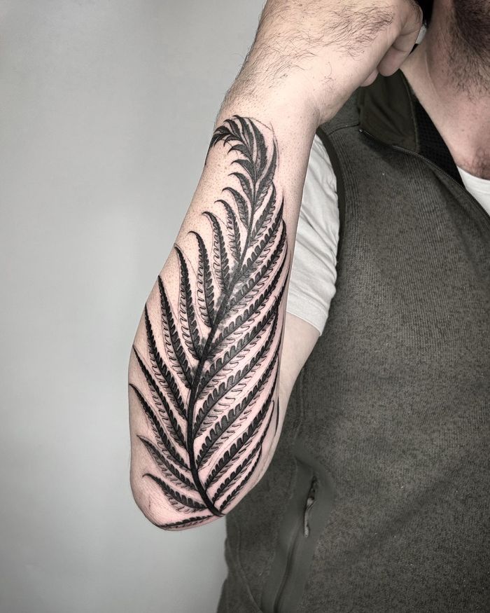 Fern Tattoo  Tattoodo